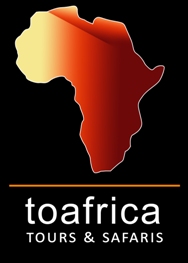 To Africa Tours, safaris, Africa honeymoon, Africa Safaris, Africa ...